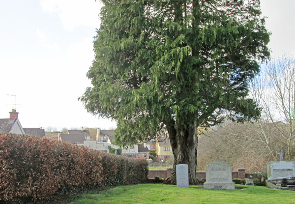 Joseph Burns grave